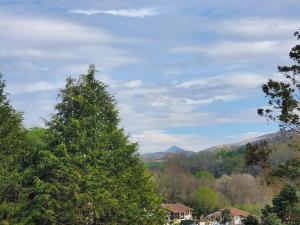 Villas VILLATIMAHE 4 etoiles vue montagnes au calme 6 min des plages : photos des chambres
