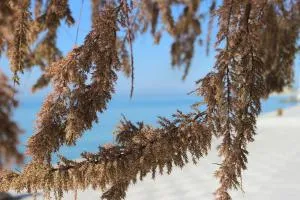 Dreamer's Home Chrisa - Makryámmos