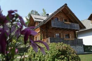  Comfort One-Bedroom Apartment with Balcony room in Apartments Brina