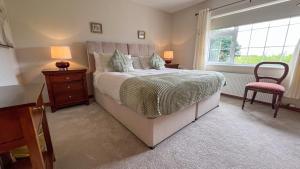 Double Room with Mountain View room in Lurgan House