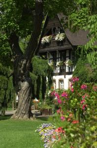 Appartements Nancy Ville : photos des chambres