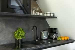 Apartament L13 z basenem, sauną, widokiem na Tatry - na terenie Sun and Snow