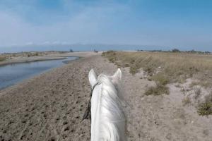 Appartements Appart avec jardin en Camargue : photos des chambres