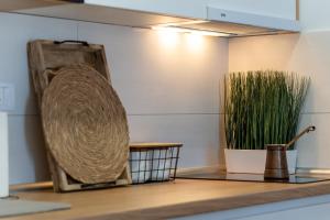 Appartement Vila Luxury and Spa