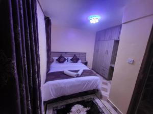 Amazon House 2 Bedroom House