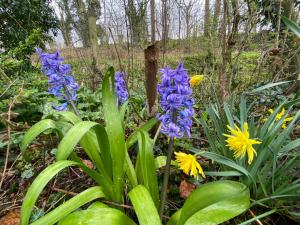 Nor Saga - Hennequinlaan 10