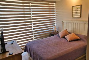 Cómodo Departamento en Pucón