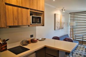 Cómodo Departamento en Pucón