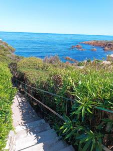 Studio Anthėor, vue mer