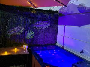 Évasion à deux, domaine prestigieux, jacuzzi et parking privés, piscine