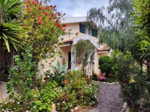 La Pirata Capitana img74