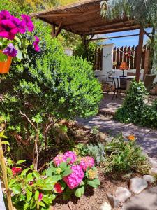 La Pirata Capitana img83