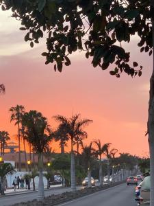 La Tunera Fuerteventura