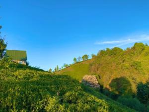 Luxury Bungalow With Barbecue2