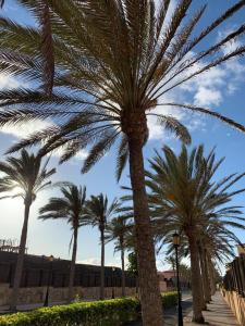 La Tunera Fuerteventura