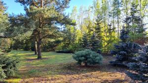 Domek Leśny bungalow