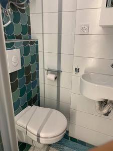 Single Sunny Mini Studio Flat