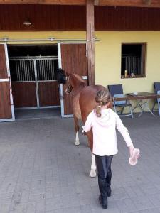 Apartman FARMA HRADEC