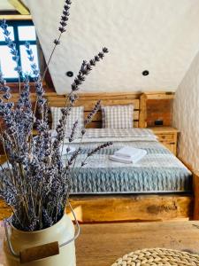 Lawendowy Domek - 3hvězdičkové hotely ve městě Ruciane-Nida