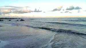 Woodenfish - Hsiao-ma-wu-k'u