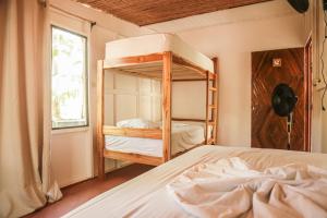 Zeneidas Surf Garden