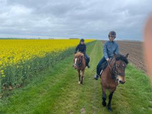 Campings Aux sabots de vent : photos des chambres