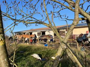 Campings Aux sabots de vent : photos des chambres