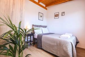 Marilia’s penthouse