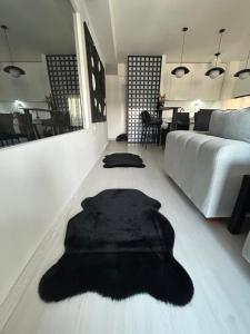 Sandev apartments Black&White