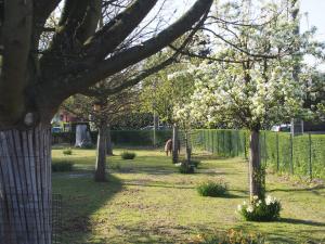 Hotels Hotel Du Croise : photos des chambres