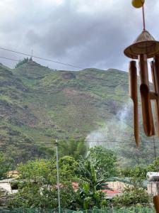 Du Già Thu’s Homestay