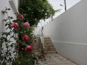 Maisons de vacances Maison La Tranche-sur-Mer, 3 pieces, 4 personnes - FR-1-22-188 : photos des chambres