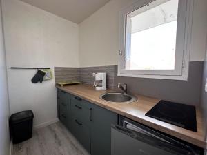 Studio rénové près de la plage avec Wi-Fi et animaux admis - FR-1-540-259