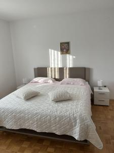 Apartments Pavletic