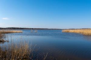 Tamula Lake View Apartment