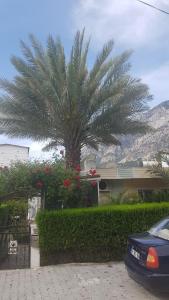 Terko hotel pansiyon