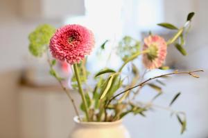 Nordsee-Bauernhof Wulff - Fewo "Sylt"