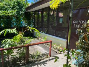 Homestay Galpera Papua