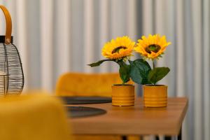 Luxury Town Center Suite, Β1