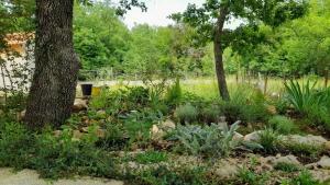 Apartment & Room Danijel