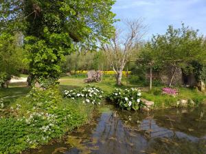 Appartements Gite du moulin : photos des chambres