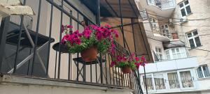 Apartman Beograd-centar