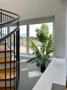 Athecada Frühstückspension