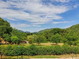 Maisons de vacances Maison avec piscine entre garrigue et Cevennes : photos des chambres