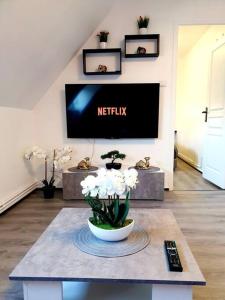 - 3 - Bel appart,T2- Charmant et Moderne 50m2