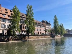 Hotels Hotel Patricia - Strasbourg Hyper Centre : photos des chambres