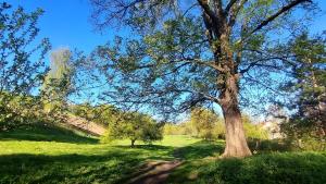 Trendy Old Town Area - Paupys Nature Treat & Free Parking