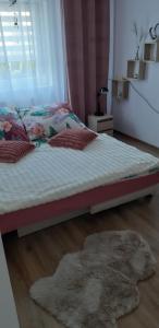 Apartament u Janiny