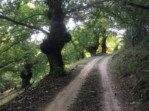 Maisons de vacances Secluded & Charming Gite Surrounded by Nature : photos des chambres