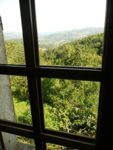 Maisons de vacances Secluded & Charming Gite Surrounded by Nature : photos des chambres